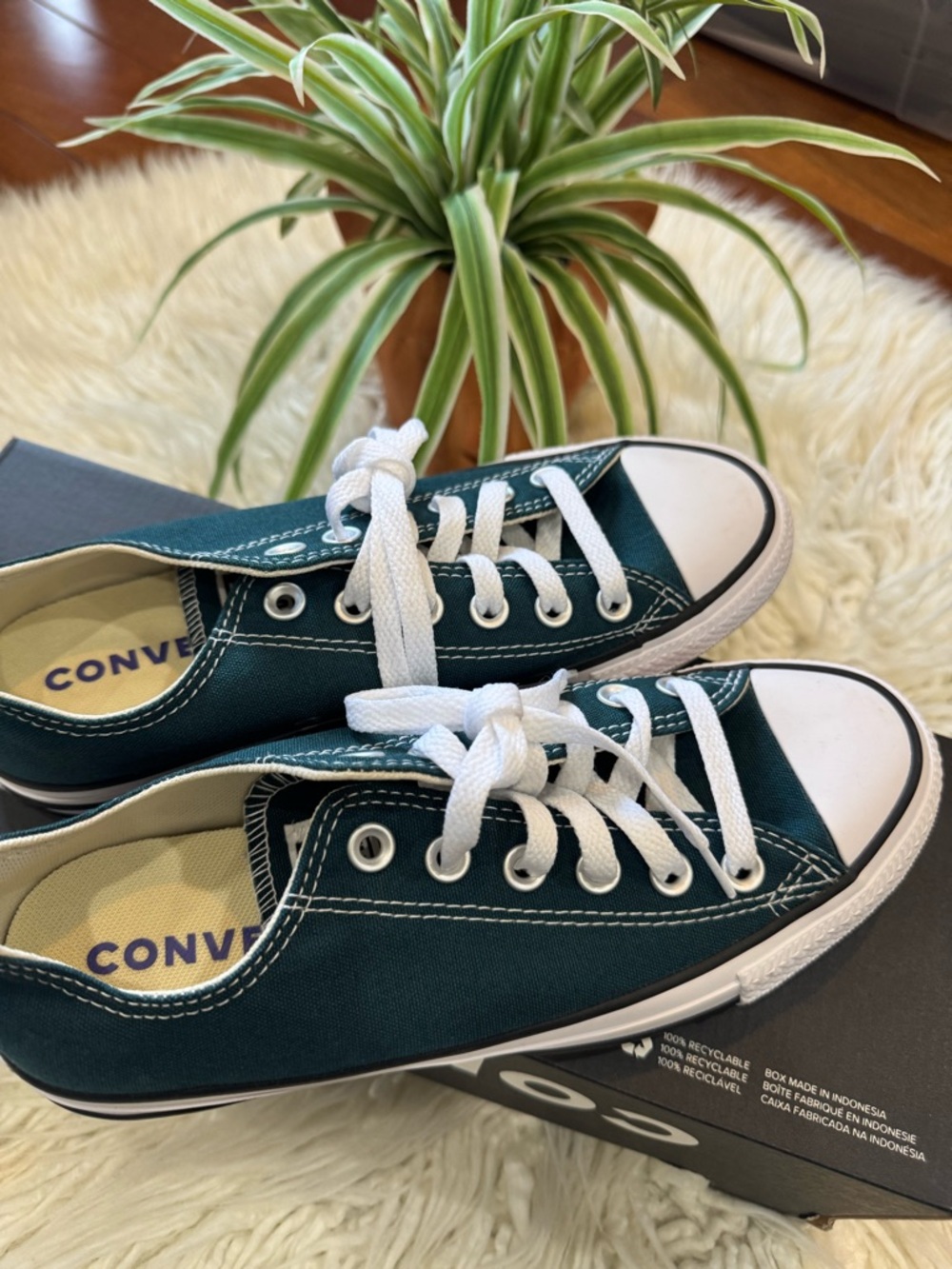 Converse Low-Top Sneakers in Teal Green